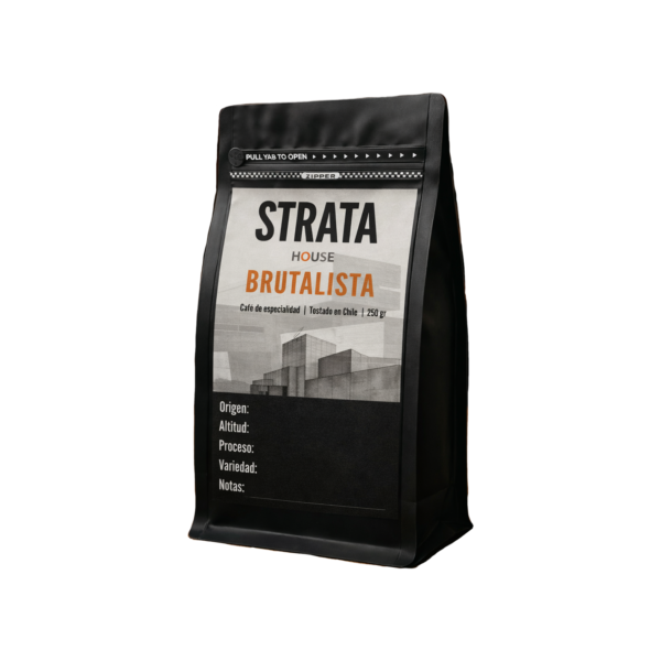 1 Brutalista